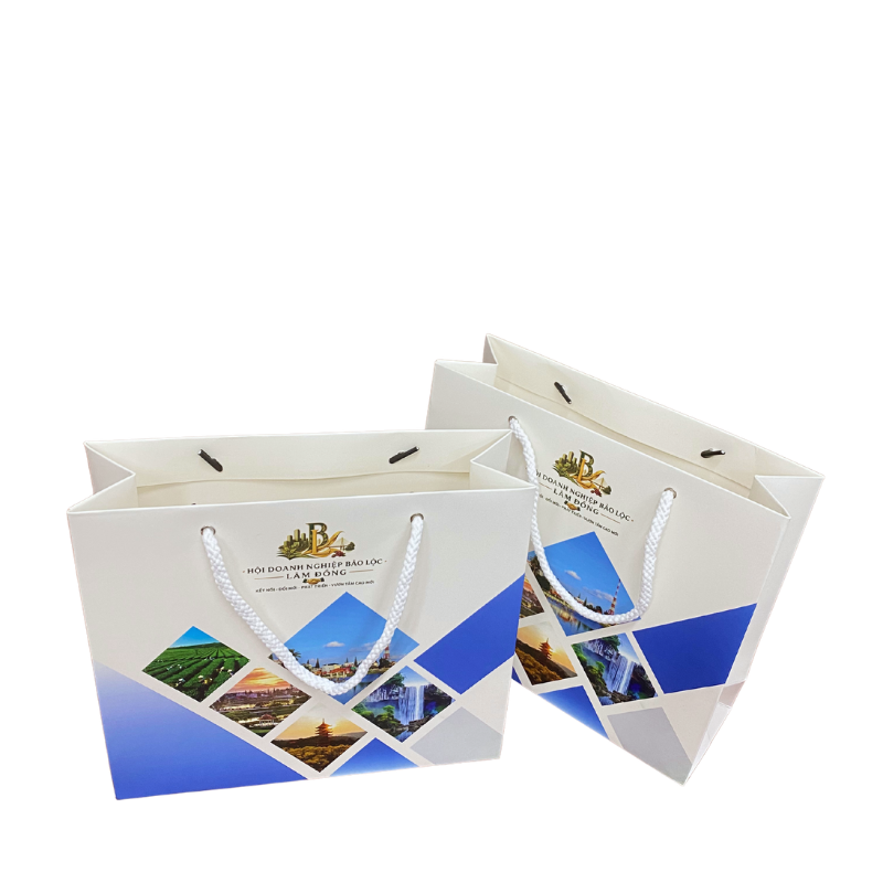 Túi giấy Ivory là loại túi được sản xuất từ giấy Ivory, một dòng giấy có bề mặt tương đối mịn, màu trắng sáng và độ cứng tốt.