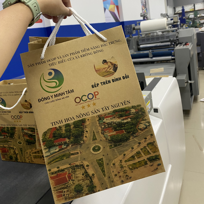 Một chiếc túi được thiết kế đẹp, in logo rõ ràng và gia công chắc chắn sẽ giúp doanh nghiệp tạo ấn tượng chuyên nghiệp hơn.