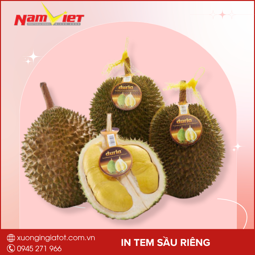 In Tem Sầu Riêng – Giải Pháp Nâng Tầm Thương Hiệu Nông Sản Chuyên Nghiệp